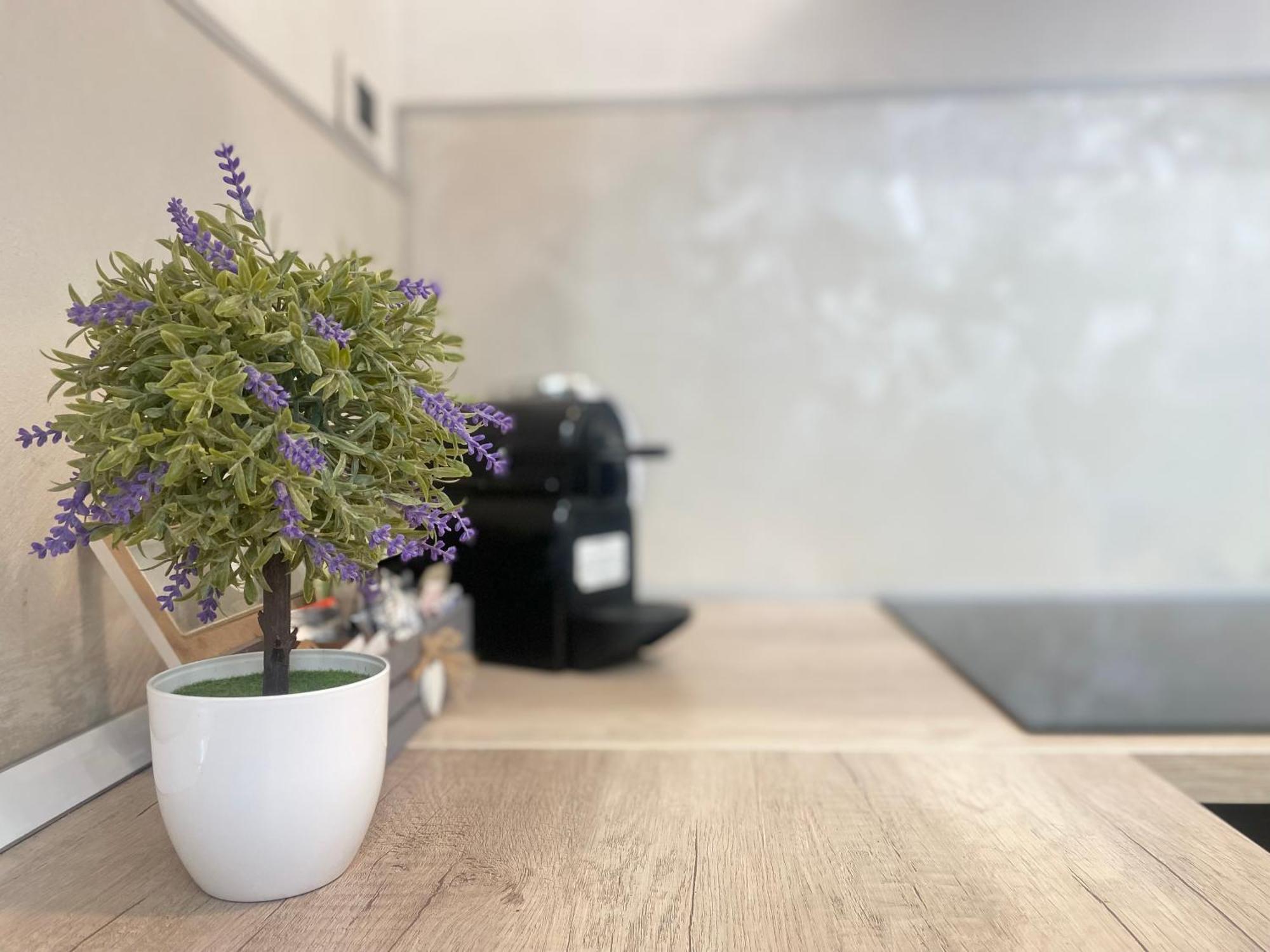 Mazzini 12, Elegant Central Apartment With Free Private Garage 800 M, Air Conditioning, Wi-Fi, Just 100 M From The Public Beach Rapallo Exterior photo